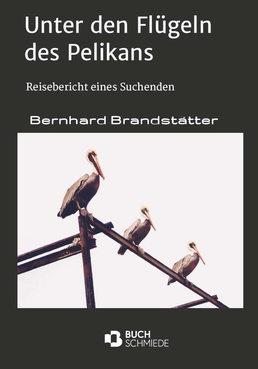 Unter Den Fl Geln Des Pelikans Von Bernhard Brandst Tter Buchschmiede