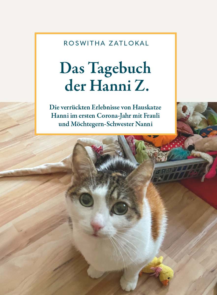 Coverbild des Buchs Das Tagebuch der Hanni Z.