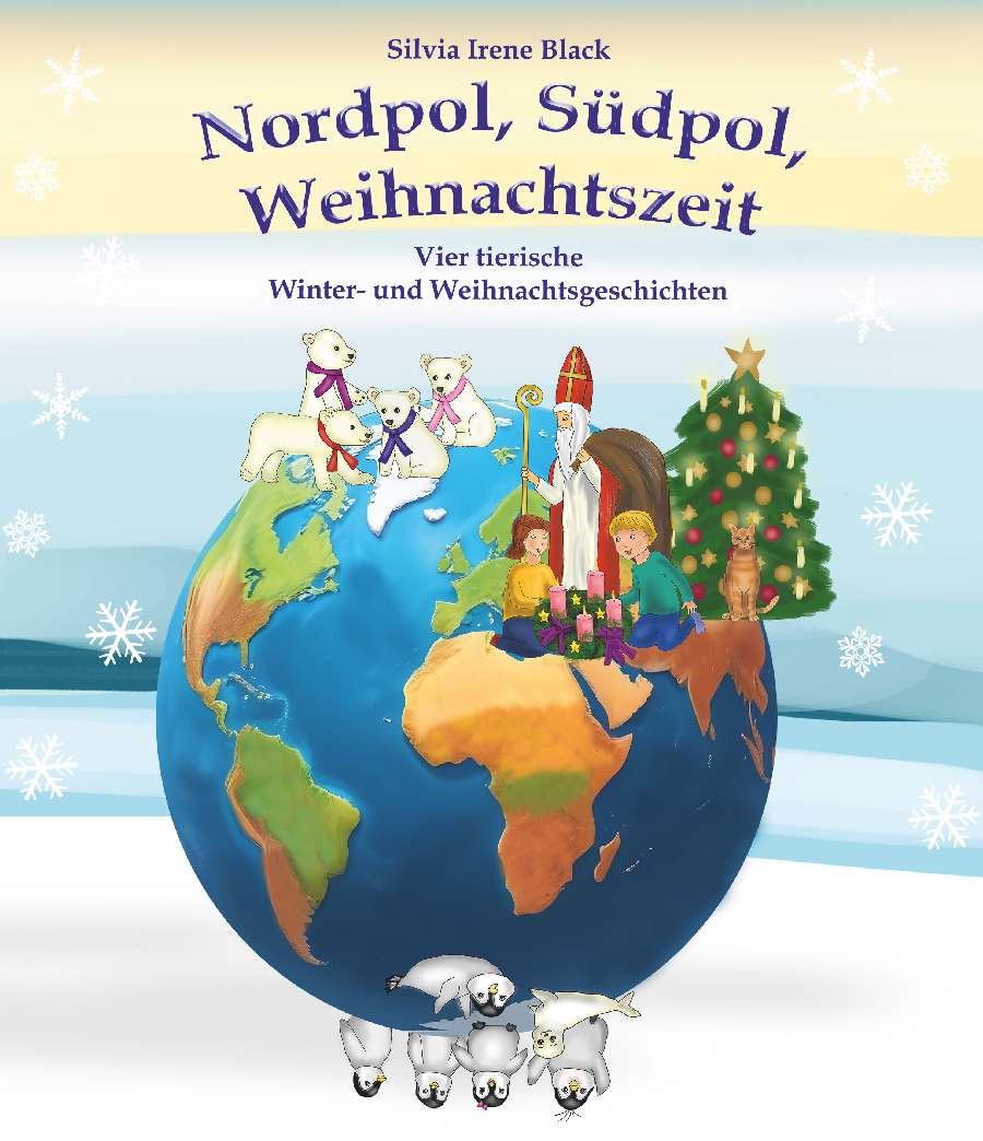 Coverbild des Buchs Nordpol, Südpol, Weihnachtszeit