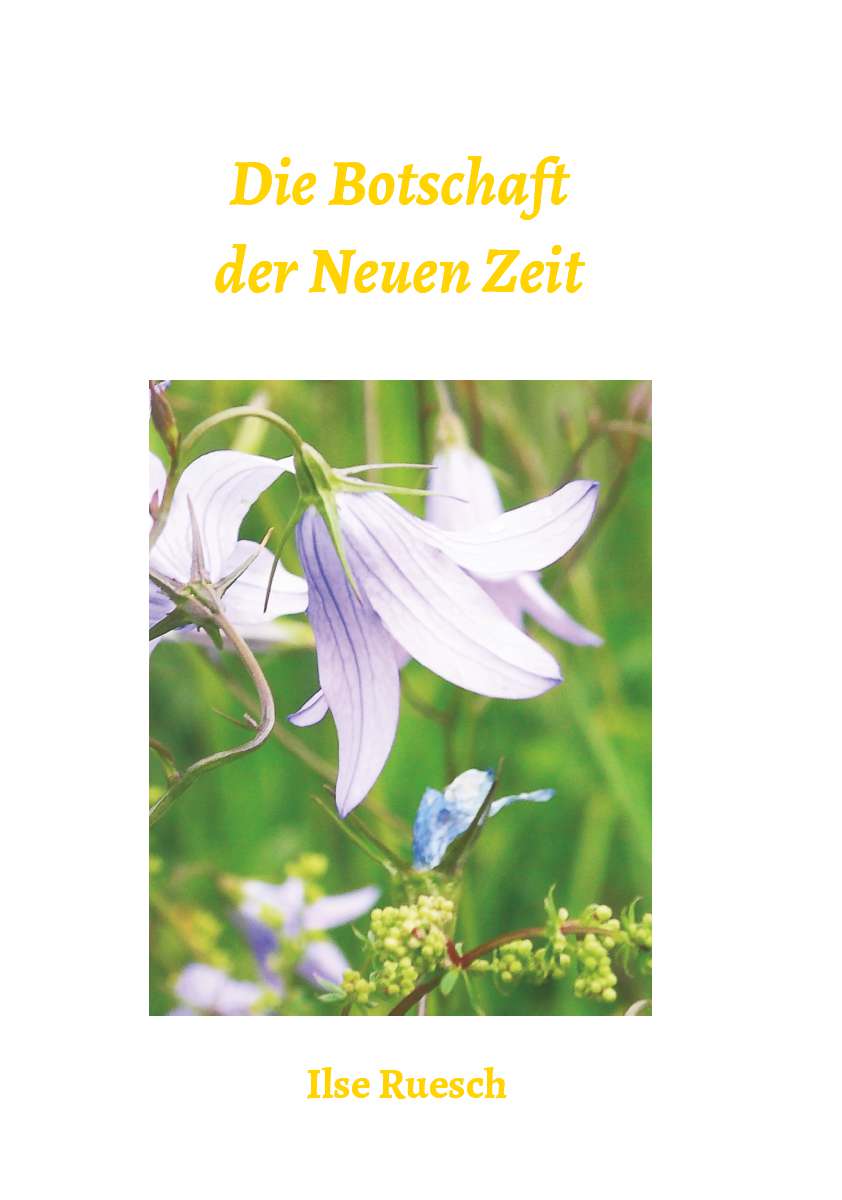 Coverbild des Buchs