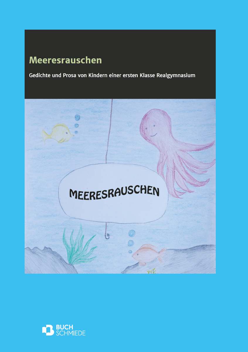 Coverbild des Buchs Meeresrauschen