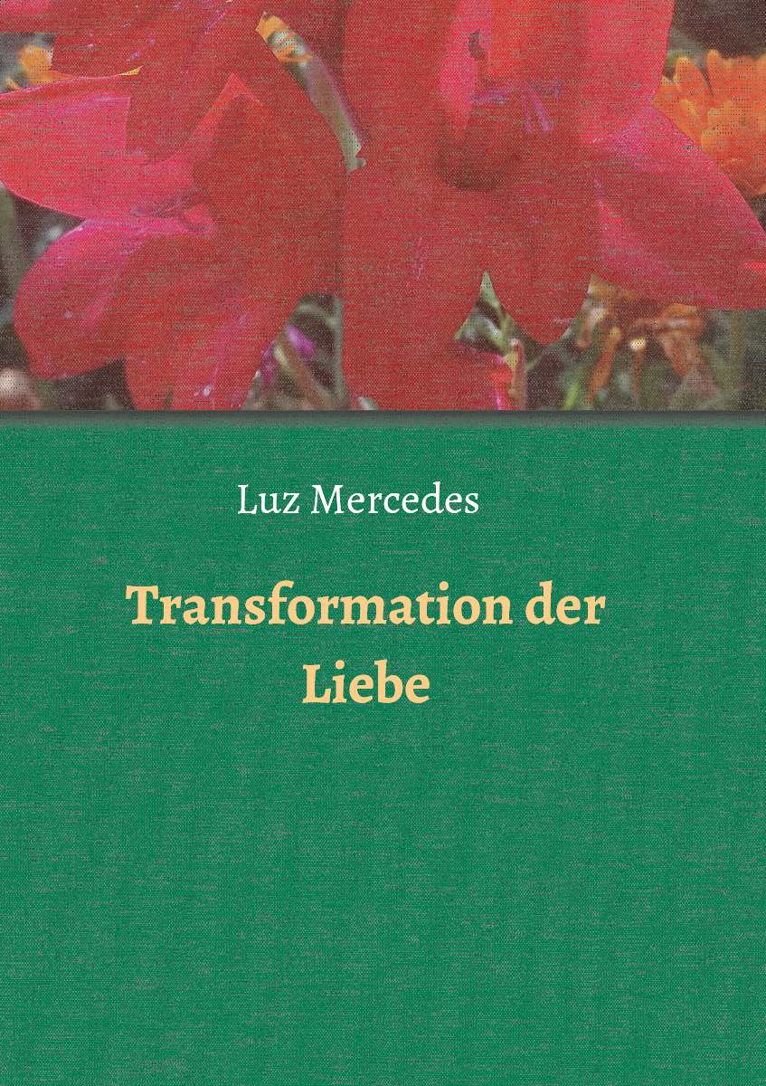 Coverbild des Buchs Transformation der Liebe