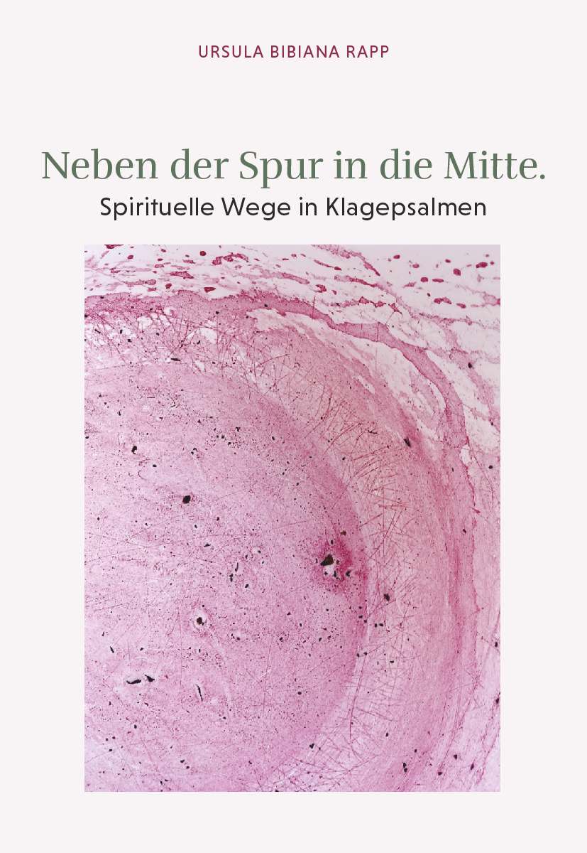 Coverbild des Buchs